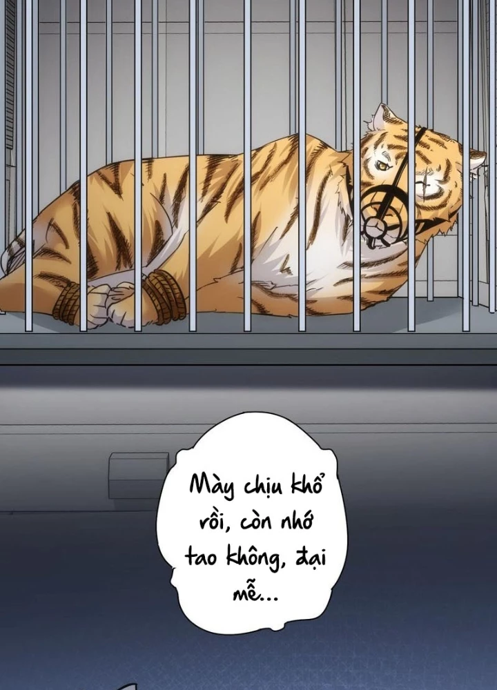 Ta Có Thể Thấy Tỉ Lệ Thành Công Chapter 251 - Trang 3