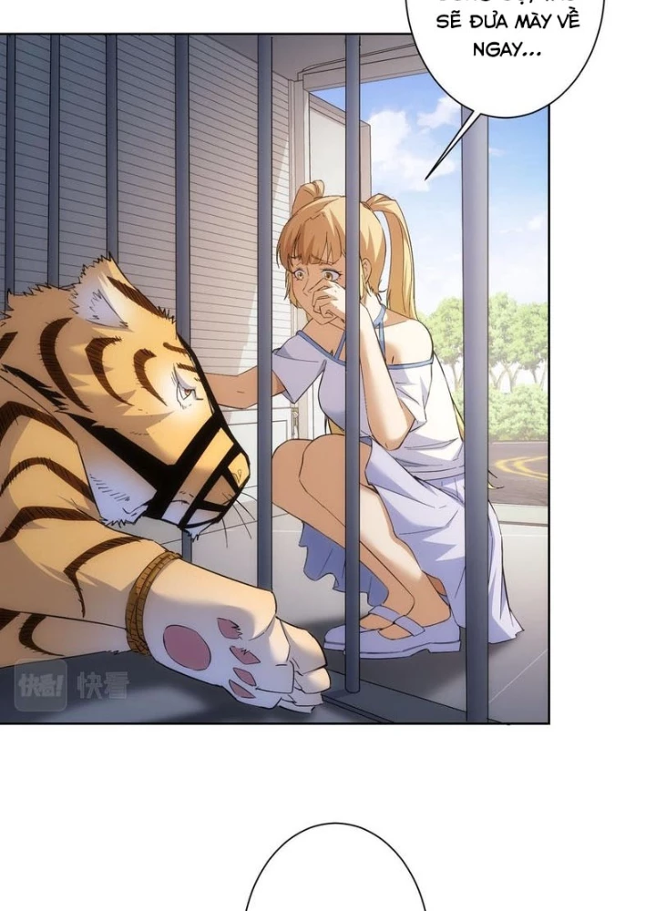 Ta Có Thể Thấy Tỉ Lệ Thành Công Chapter 252 - Trang 3