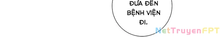 Ta Có Thể Thấy Tỉ Lệ Thành Công Chapter 253 - Trang 3