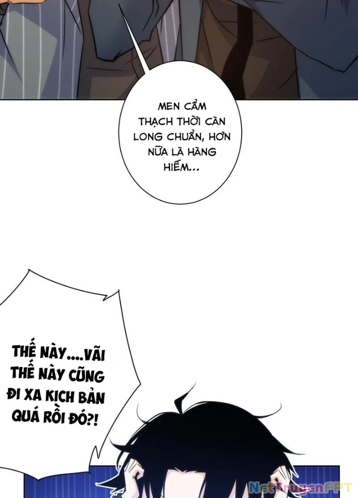 Ta Có Thể Thấy Tỉ Lệ Thành Công Chapter 255 - Trang 3