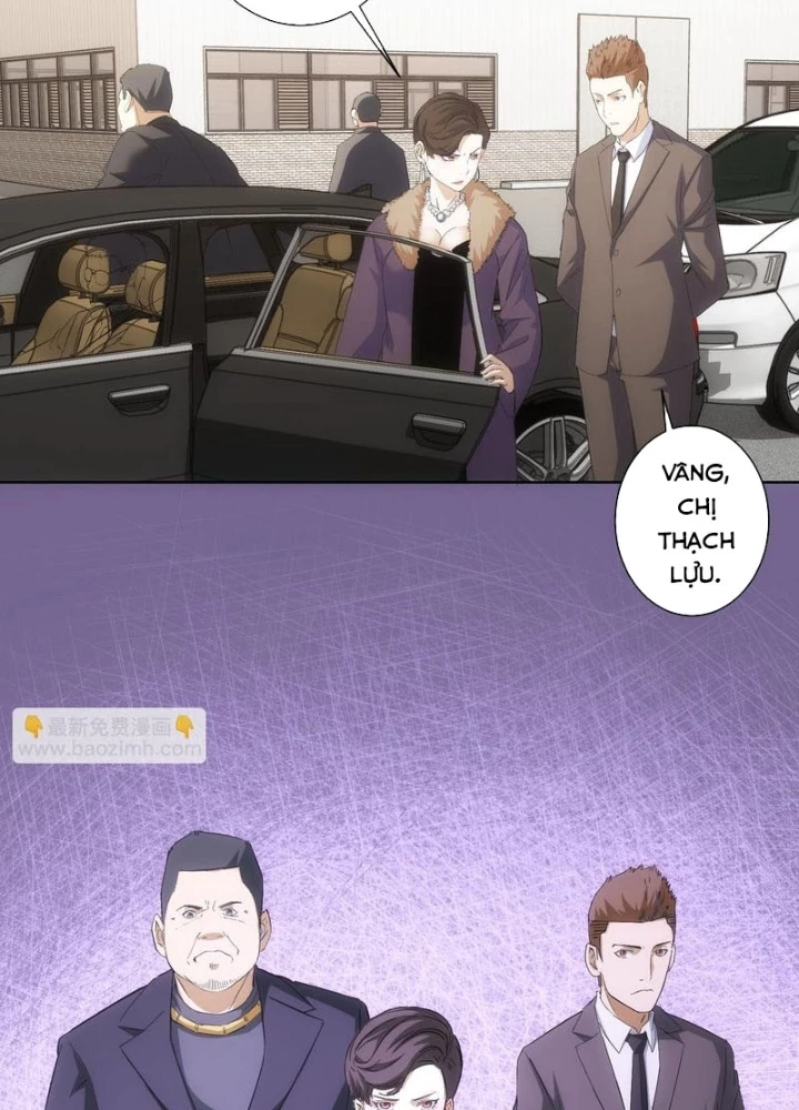 Ta Có Thể Thấy Tỉ Lệ Thành Công Chapter 256 - Trang 3