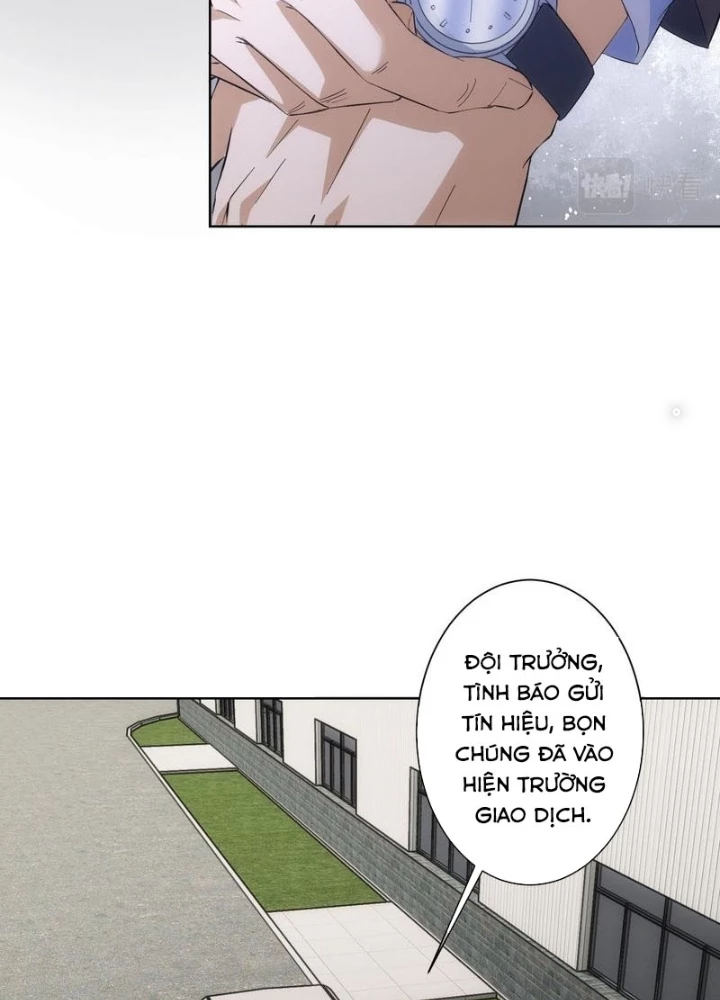 Ta Có Thể Thấy Tỉ Lệ Thành Công Chapter 256 - Trang 3