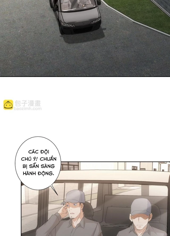 Ta Có Thể Thấy Tỉ Lệ Thành Công Chapter 256 - Trang 3