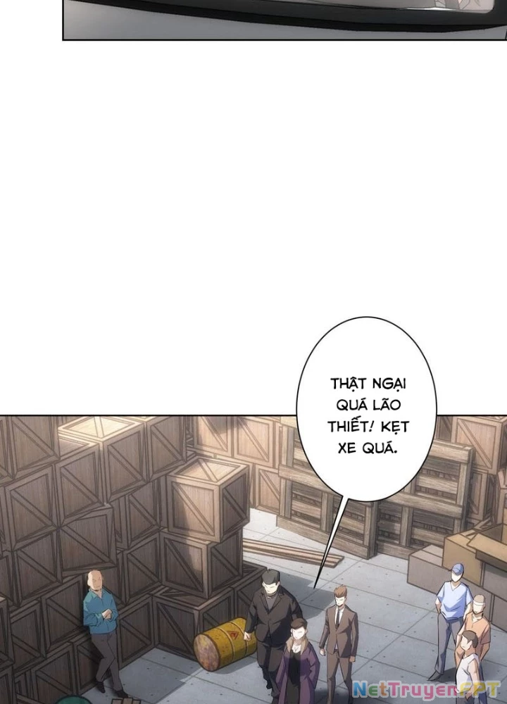 Ta Có Thể Thấy Tỉ Lệ Thành Công Chapter 256 - Trang 3