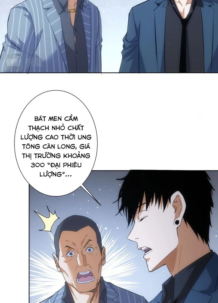 Ta Có Thể Thấy Tỉ Lệ Thành Công Chapter 258 - Trang 3