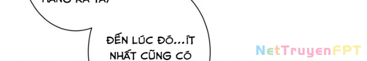 Ta Có Thể Thấy Tỉ Lệ Thành Công Chapter 258 - Trang 3