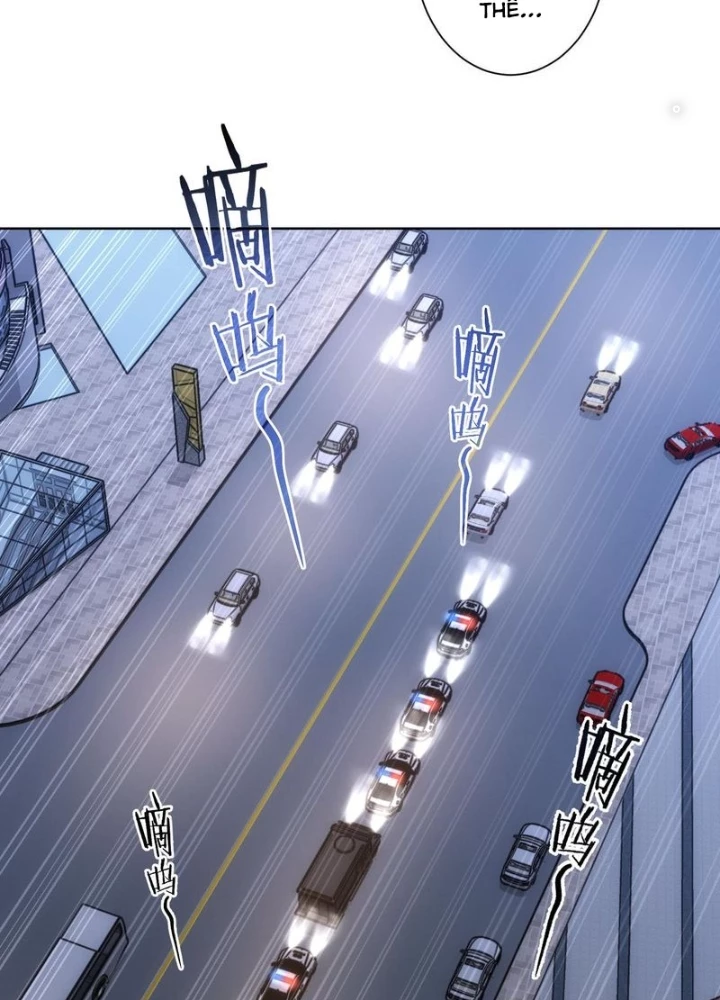Ta Có Thể Thấy Tỉ Lệ Thành Công Chapter 258 - Trang 3