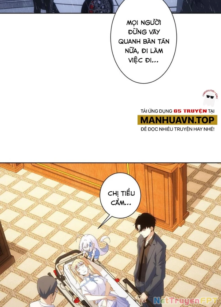 Ta Có Thể Thấy Tỉ Lệ Thành Công Chapter 260 - Trang 3
