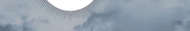 Ta Có Thể Thấy Tỉ Lệ Thành Công Chapter 262 - Trang 3