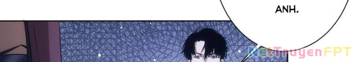 Ta Có Thể Thấy Tỉ Lệ Thành Công Chapter 264 - Trang 3