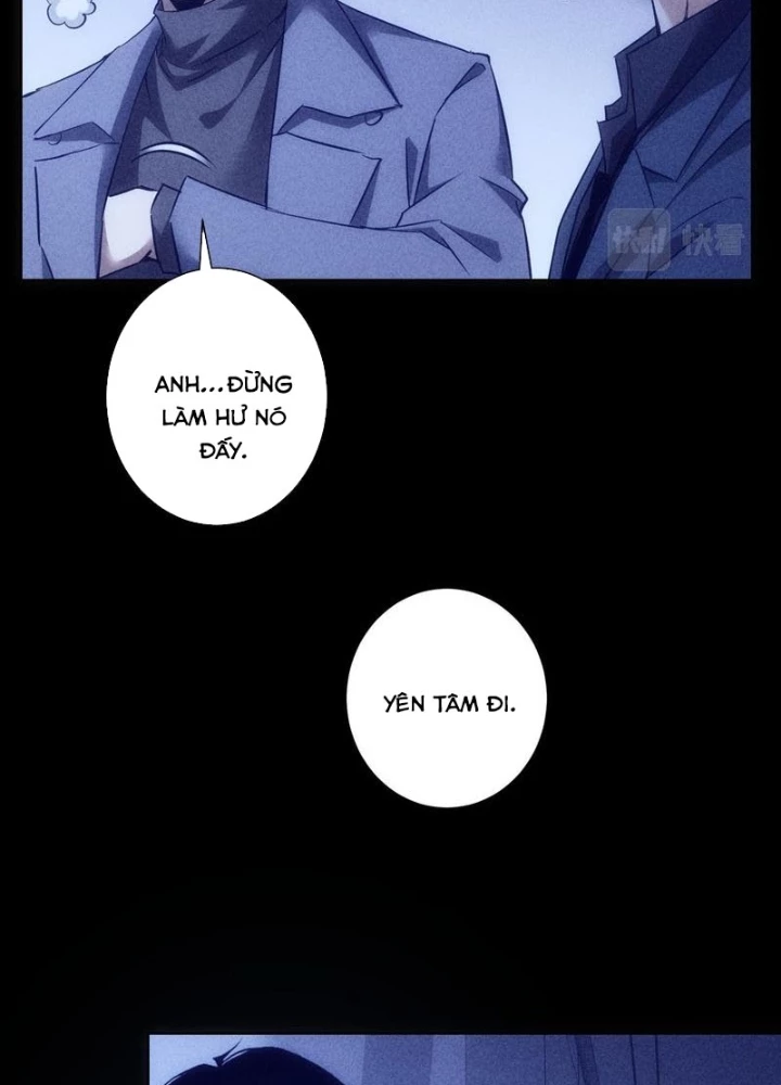 Ta Có Thể Thấy Tỉ Lệ Thành Công Chapter 267 - Trang 3