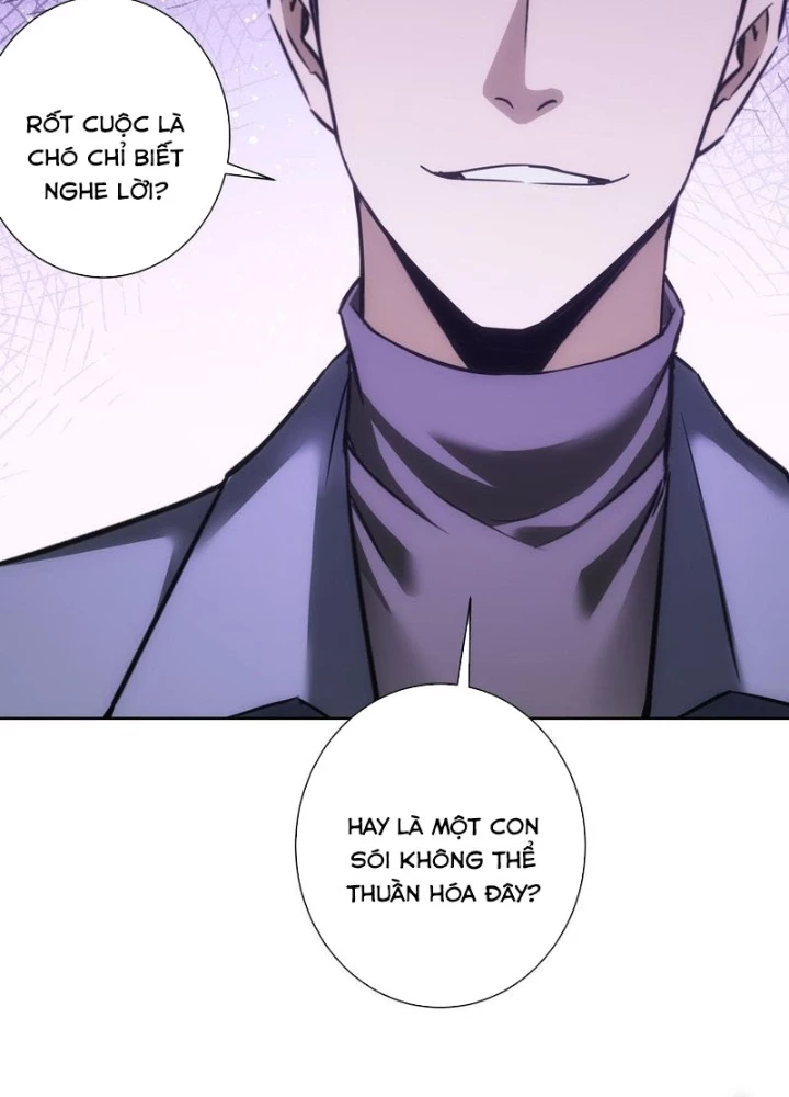 Ta Có Thể Thấy Tỉ Lệ Thành Công Chapter 271 - Trang 3