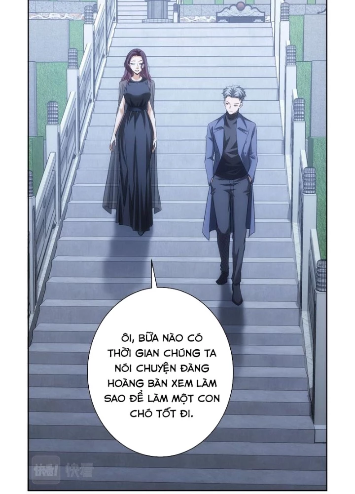 Ta Có Thể Thấy Tỉ Lệ Thành Công Chapter 271 - Trang 3