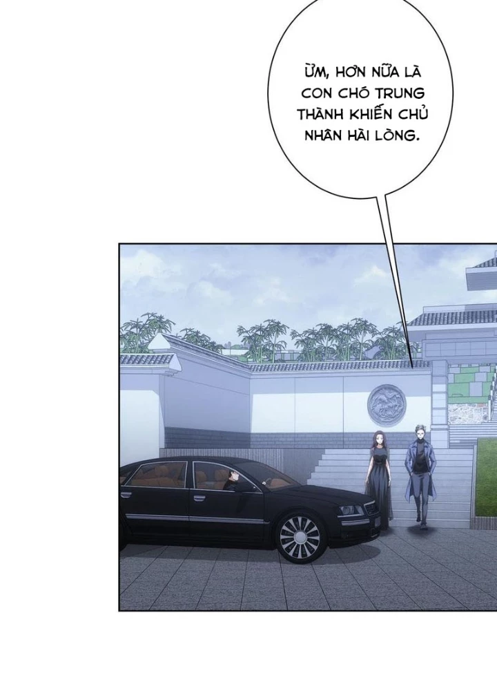 Ta Có Thể Thấy Tỉ Lệ Thành Công Chapter 271 - Trang 3