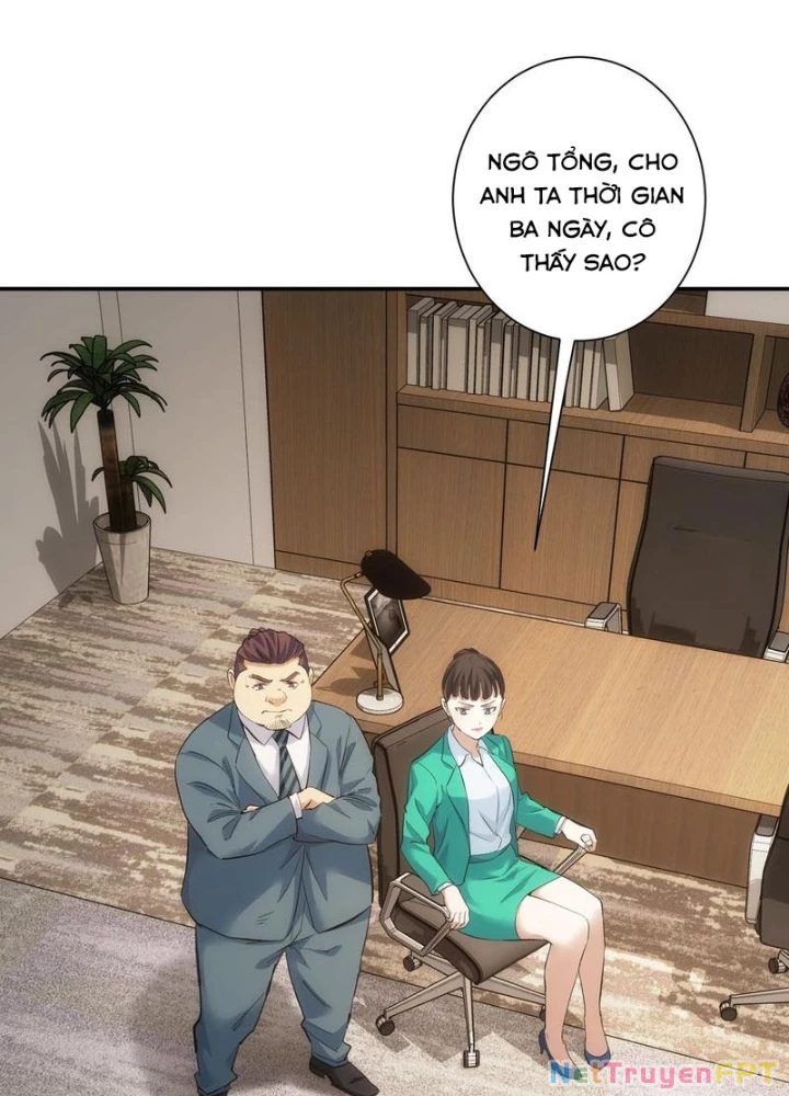 Ta Có Thể Thấy Tỉ Lệ Thành Công Chapter 279 - Trang 3