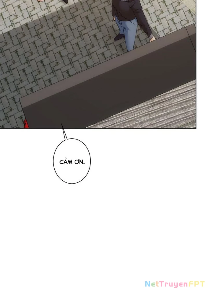 Ta Có Thể Thấy Tỉ Lệ Thành Công Chapter 284 - Trang 3