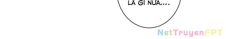 Ta Có Thể Thấy Tỉ Lệ Thành Công Chapter 289 - Trang 3