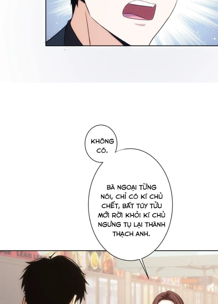 Ta Có Thể Thấy Tỉ Lệ Thành Công Chapter 291 - Trang 3