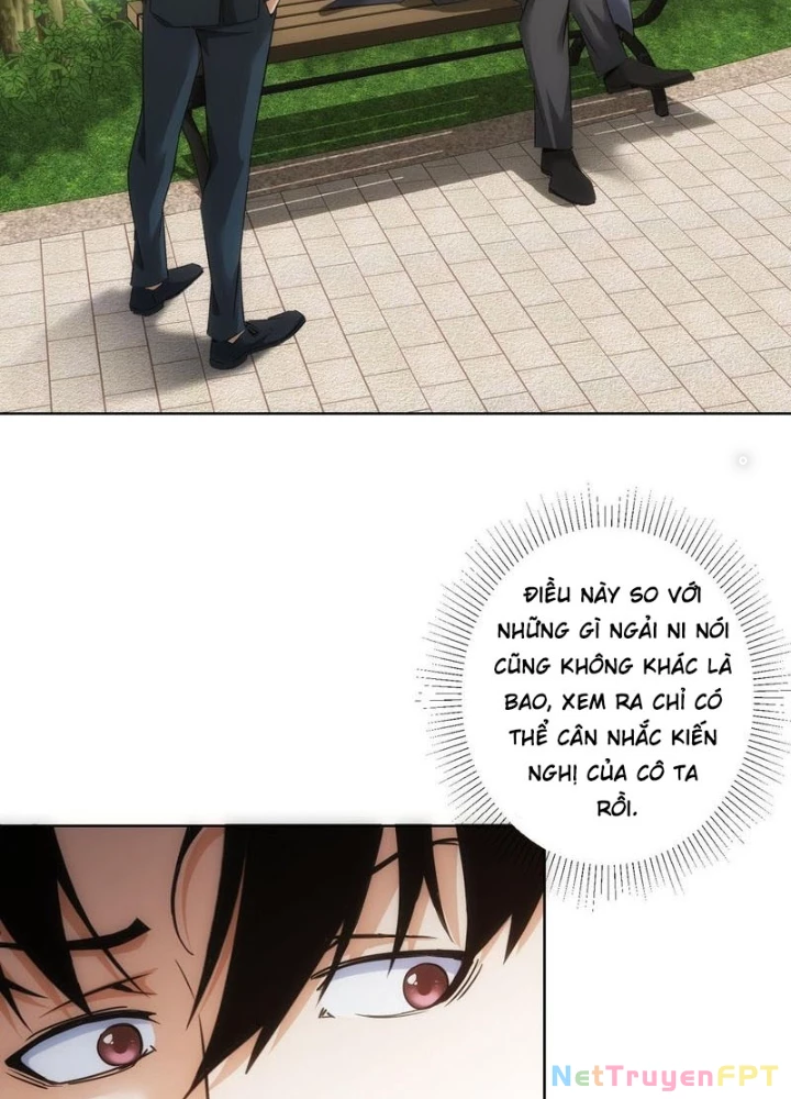 Ta Có Thể Thấy Tỉ Lệ Thành Công Chapter 293 - Trang 3