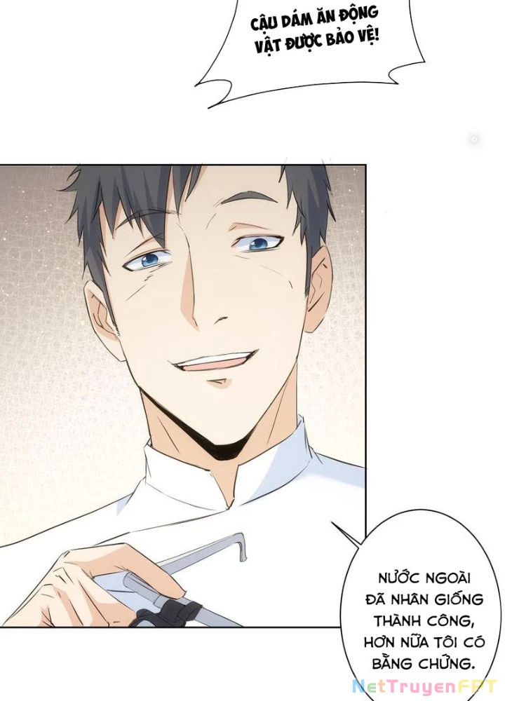 Ta Có Thể Thấy Tỉ Lệ Thành Công Chapter 319 - Trang 3