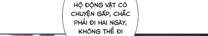Ta Có Thể Thấy Tỉ Lệ Thành Công Chapter 326 - Trang 3