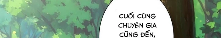 Ta Có Thể Thấy Tỉ Lệ Thành Công Chapter 327 - Trang 3