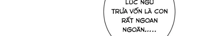 Ta Có Thể Thấy Tỉ Lệ Thành Công Chapter 328 - Trang 3