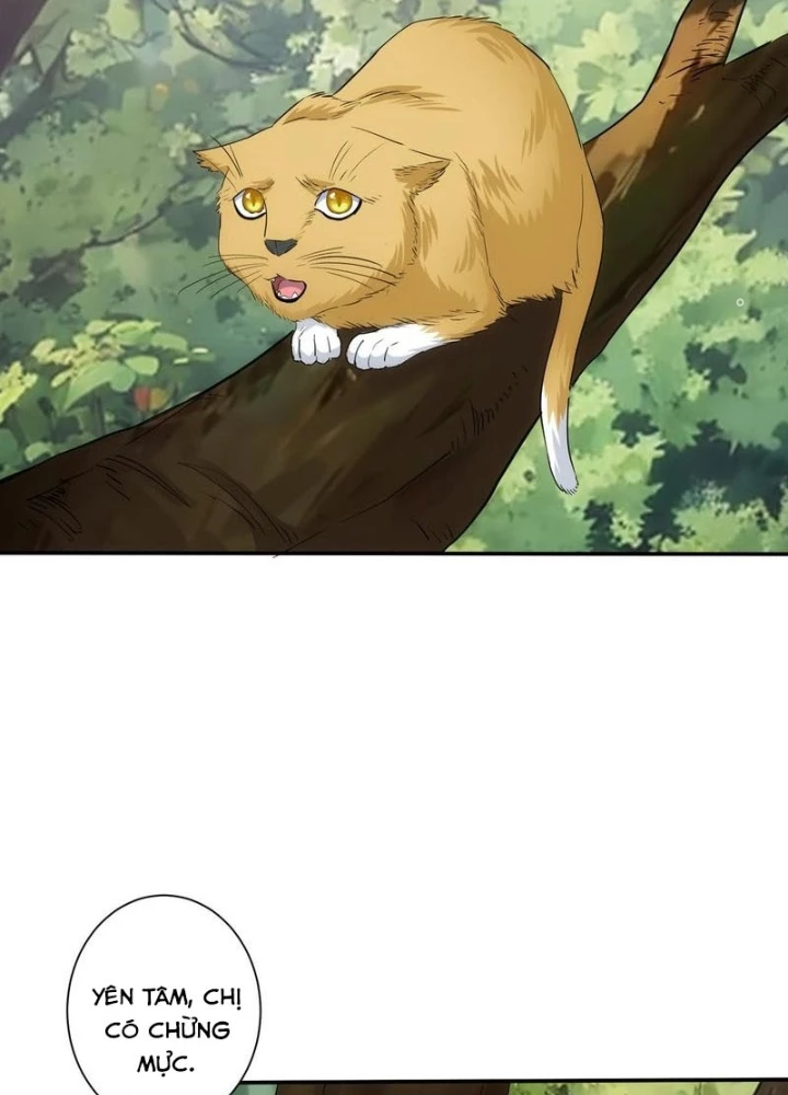 Ta Có Thể Thấy Tỉ Lệ Thành Công Chapter 328 - Trang 3