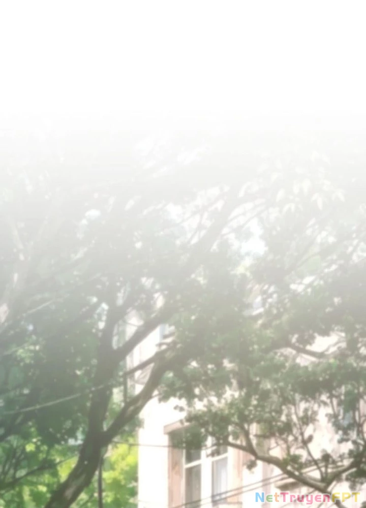 Ta Có Thể Thấy Tỉ Lệ Thành Công Chapter 328 - Trang 3