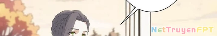 Ta Có Thể Thấy Tỉ Lệ Thành Công Chapter 336 - Trang 3
