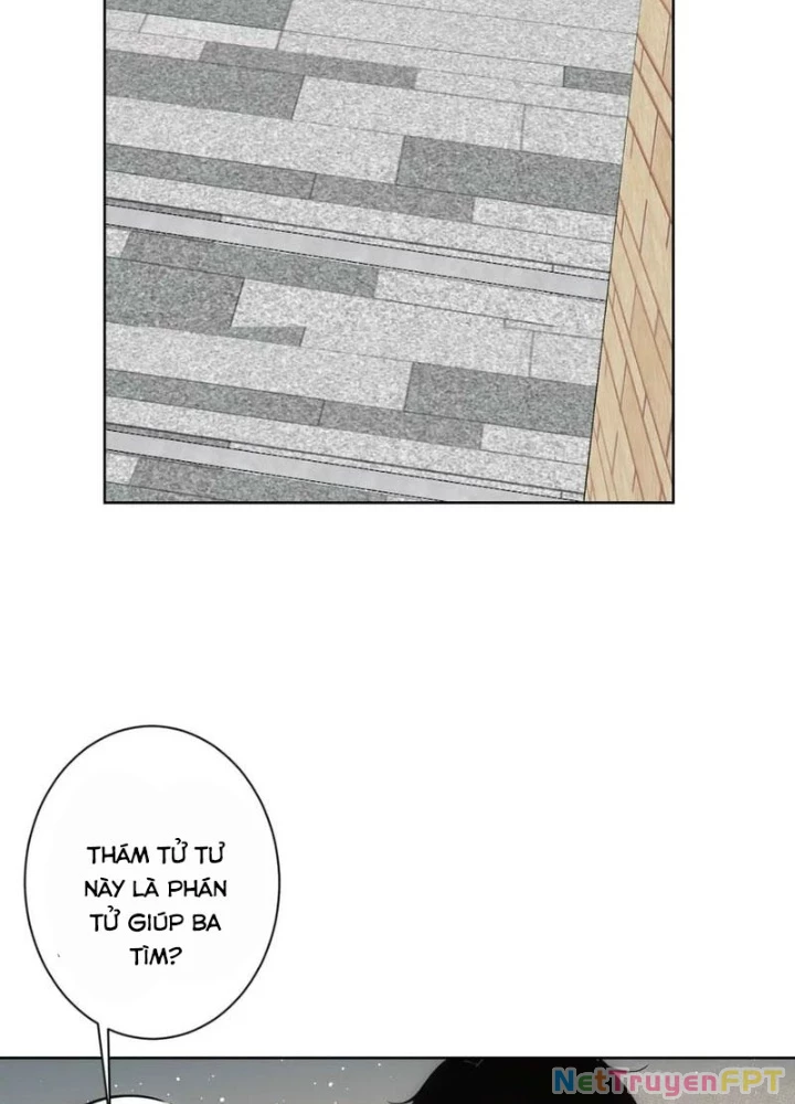 Ta Có Thể Thấy Tỉ Lệ Thành Công Chapter 345 - Trang 3
