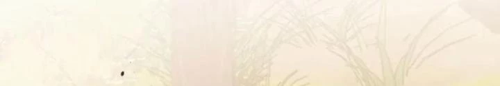 Hồng Long Dũng Giả Không Phải Người Lương Thiện Chapter 38 - Trang 3