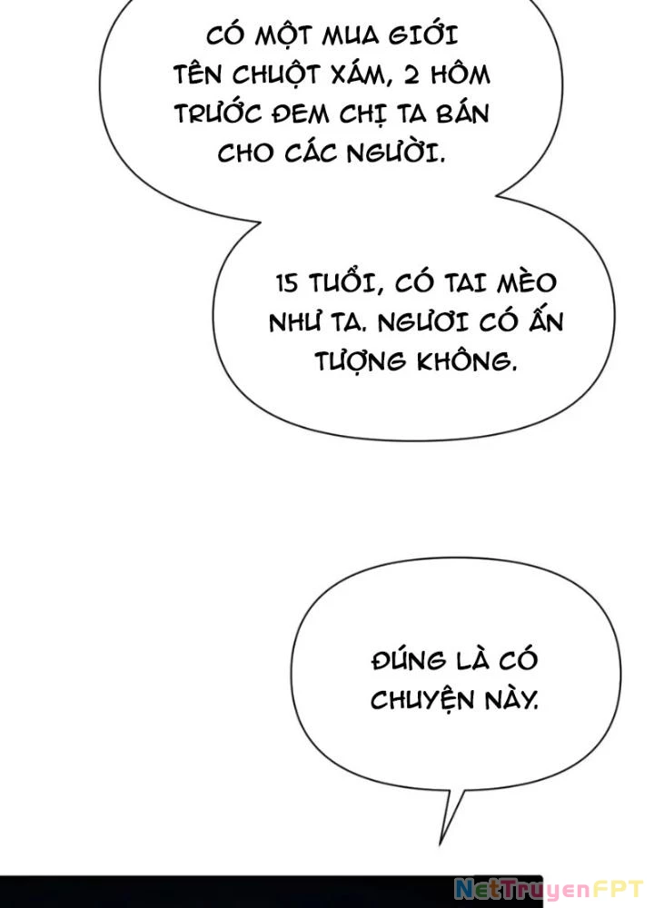 Hồng Long Dũng Giả Không Phải Người Lương Thiện Chapter 39 - Trang 3