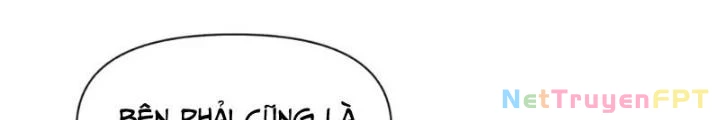 Hồng Long Dũng Giả Không Phải Người Lương Thiện Chapter 52 - Trang 3