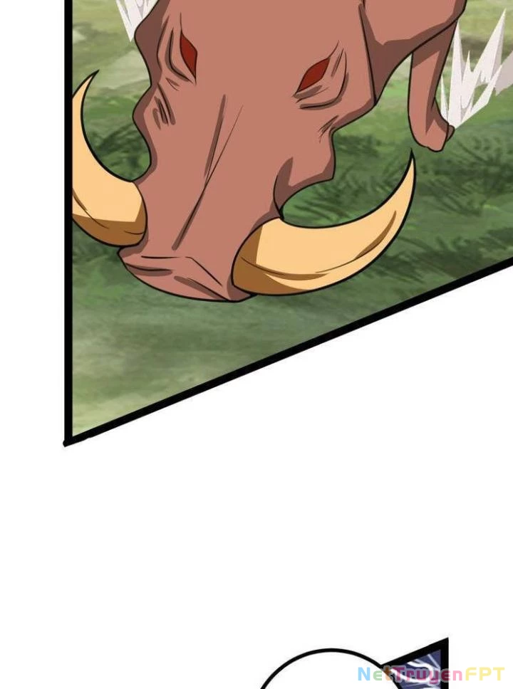 Ta Ở Nhà 100 Năm Khi Ra Ngoài Đã Vô Địch Chapter 318 - Trang 3