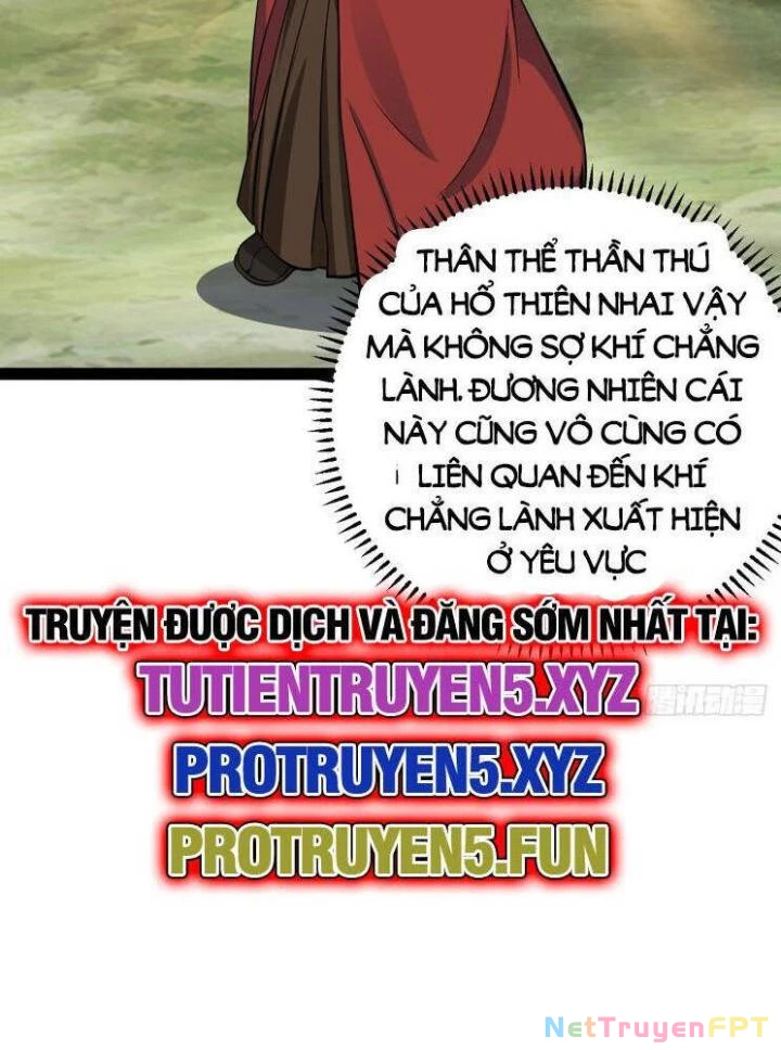 Ta Ở Nhà 100 Năm Khi Ra Ngoài Đã Vô Địch Chapter 319 - Trang 3