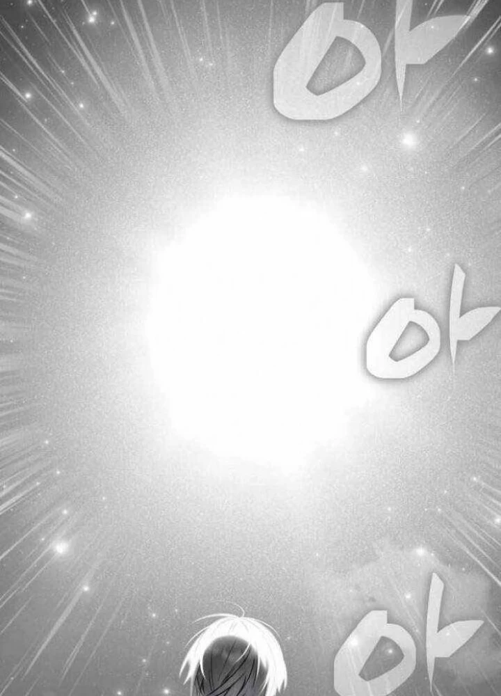 Đa Sắc Ma Pháp Sư Thiên Tài Chapter 29 - Trang 3