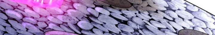 Thần Chi Cảnh Chapter 21 - Next Chapter 22