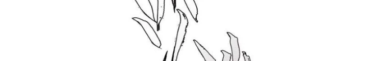 Thần Chi Cảnh Chapter 24 - Next Chapter 25