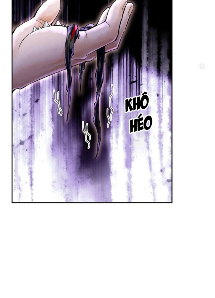 Thần Chi Cảnh Chapter 28 - Next Chapter 29
