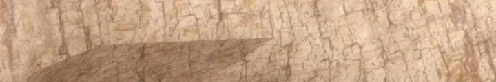 Tiên Đế Cuồng Tế Chapter 63 - Trang 2