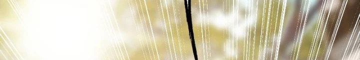 Tiêu Rồi, Ta Bị Mỹ Nữ Võ Thần Khóa Lại Rồi Chapter 39 - Trang 2