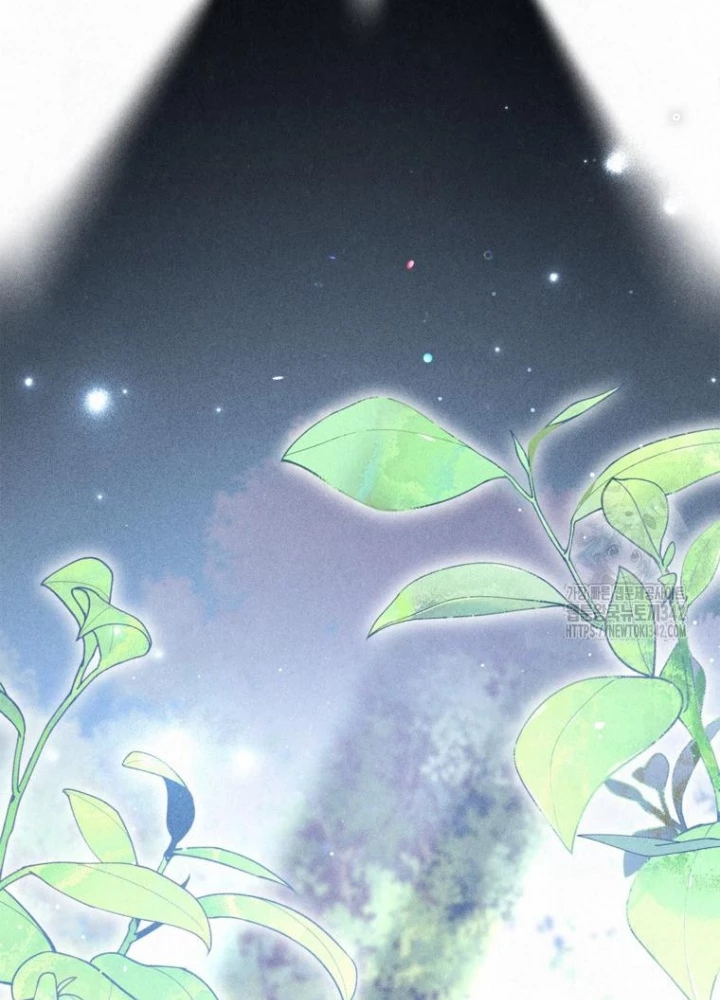 Những Đứa Trẻ Của Rune Chapter 14 - Trang 2