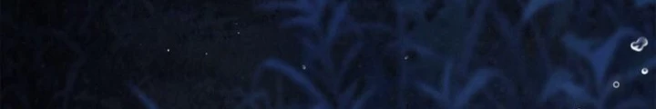 Những Đứa Trẻ Của Rune Chapter 22 - Trang 2