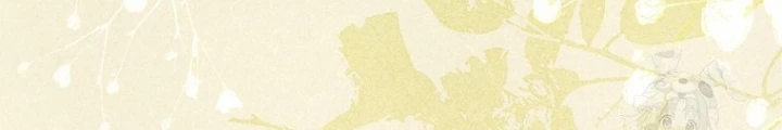 Những Đứa Trẻ Của Rune Chapter 27 - Trang 2