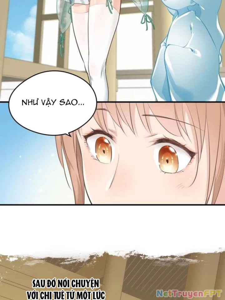 Tối Cường Thiên Đế Hệ Thống Chapter 3 - Trang 3