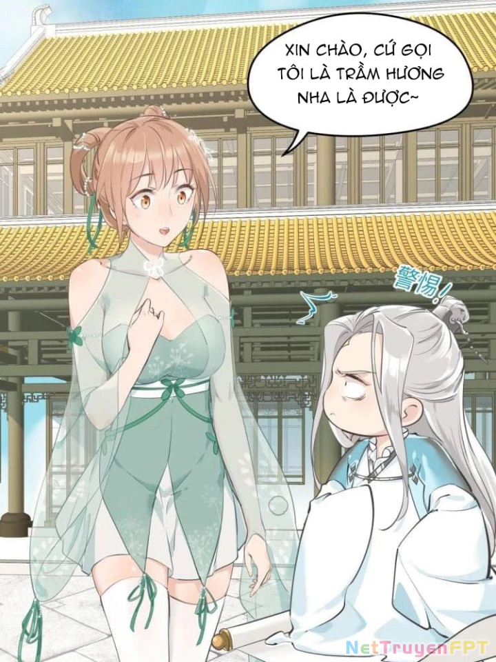 Tối Cường Thiên Đế Hệ Thống Chapter 3 - Trang 3
