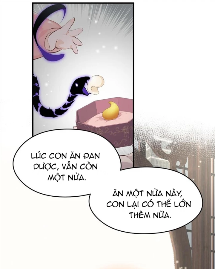 Tối Cường Thiên Đế Hệ Thống Chapter 24 - Trang 3