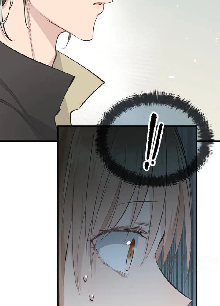 Tối Cường Thiên Đế Hệ Thống Chapter 84 - Trang 3