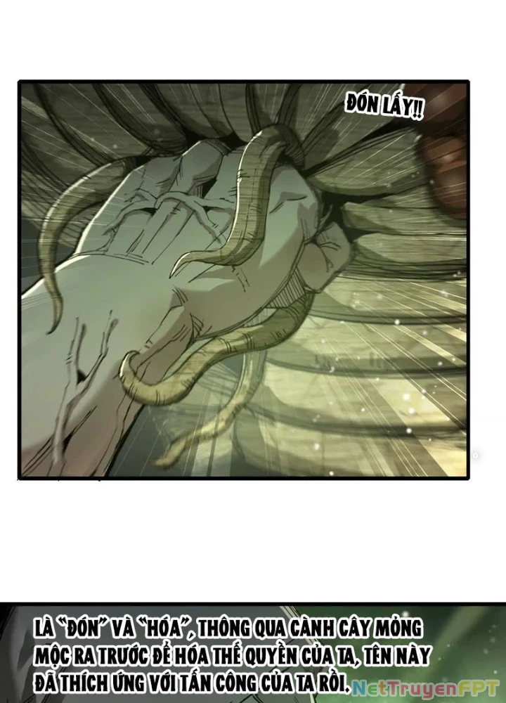 Ngao Bái Chuyển Sinh Thế Giới Khác Chapter 31 - Trang 2